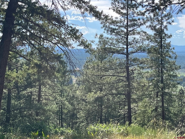 916B Easy St, Pagosa Springs CO, 81147 land for sale