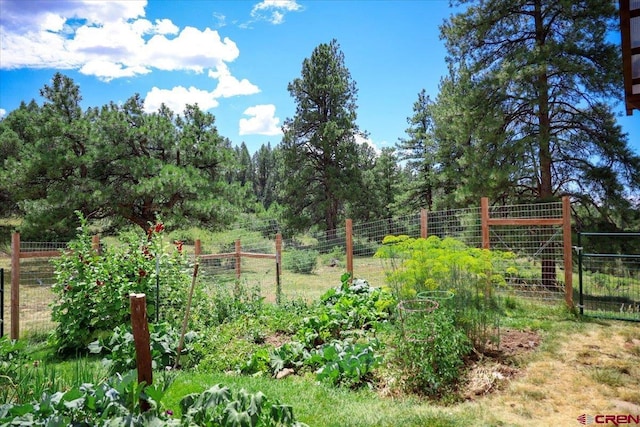 view of yard with a garden and fence