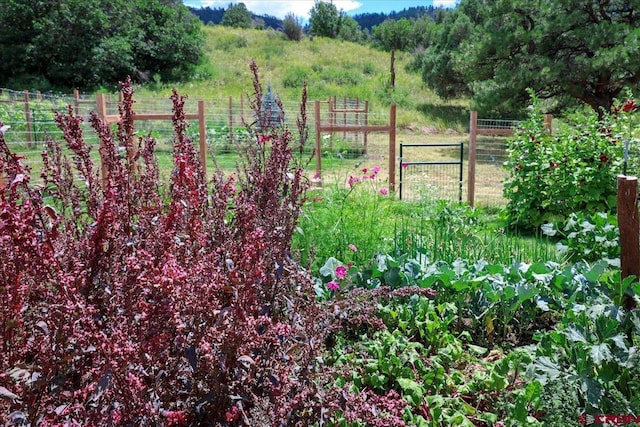 view of gate with fence and a rural view