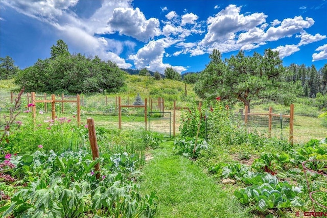 view of yard featuring a rural view, fence, and a garden