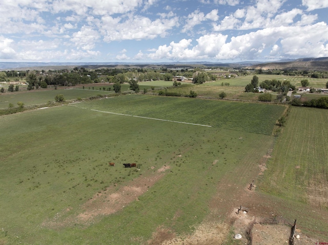 birds eye view of property featuring a rural view