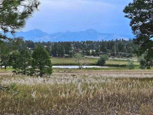 340 Prospect Blvd, Pagosa Springs CO, 81147 land for sale