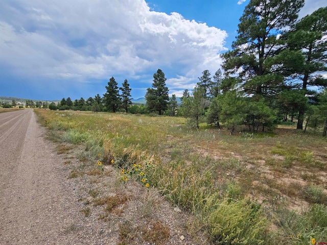 Listing photo 3 for 340 Prospect Blvd, Pagosa Springs CO 81147