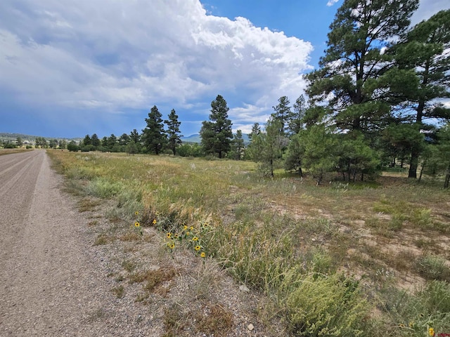 Listing photo 3 for 340 Prospect Blvd, Pagosa Springs CO 81147