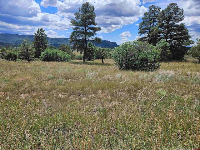 266 Prospect Blvd, Pagosa Springs CO, 81147 land for sale