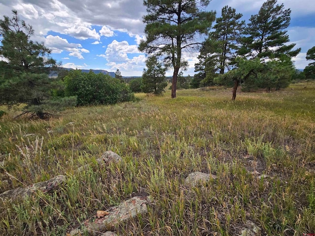 Listing photo 3 for 266 Prospect Blvd, Pagosa Springs CO 81147