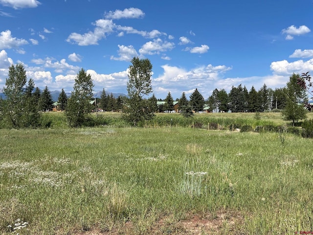 Listing photo 3 for X Talisman Dr, Pagosa Springs CO 81147