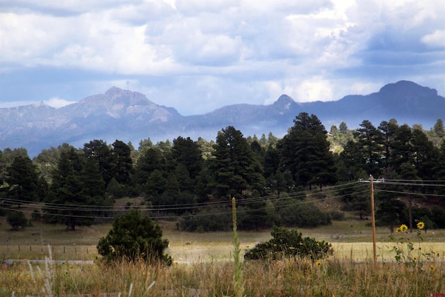 148 Prospect Blvd, Pagosa Springs CO, 81147 land for sale