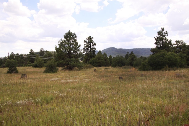 Listing photo 2 for 148 Prospect Blvd, Pagosa Springs CO 81147