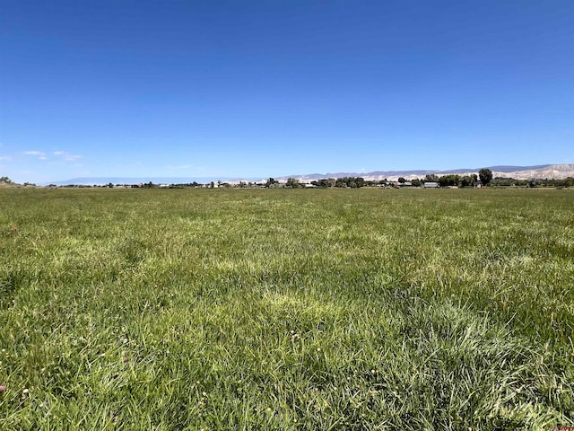 view of nature featuring a rural view