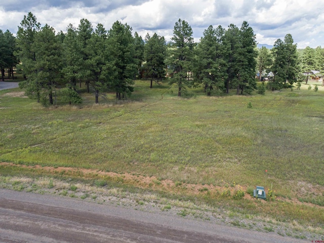 1520 Antelope Ave, Pagosa Springs CO, 81147 land for sale