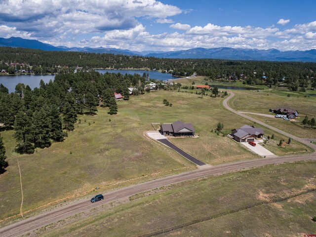1520 Antelope Ave, Pagosa Springs, CO 81147