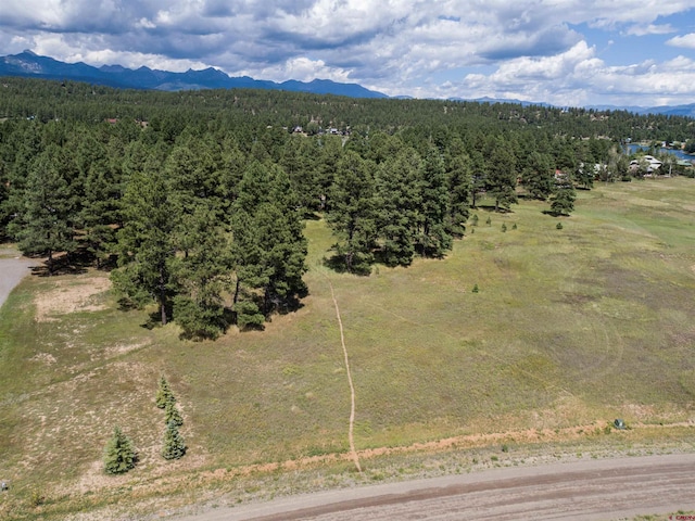 1520 Antelope Ave, Pagosa Springs, CO 81147