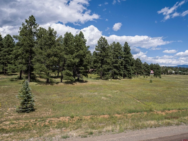 1520 Antelope Ave, Pagosa Springs, CO 81147