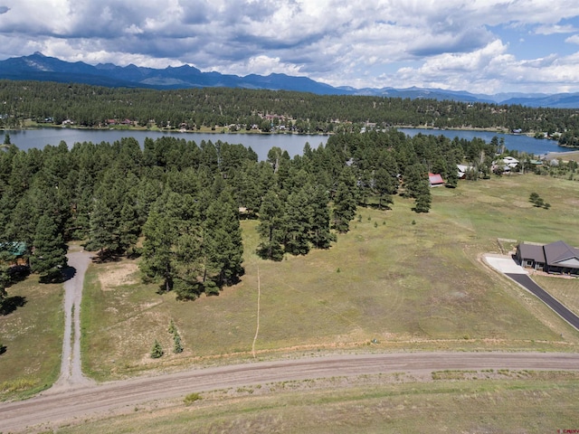 1520 Antelope Ave, Pagosa Springs, CO 81147