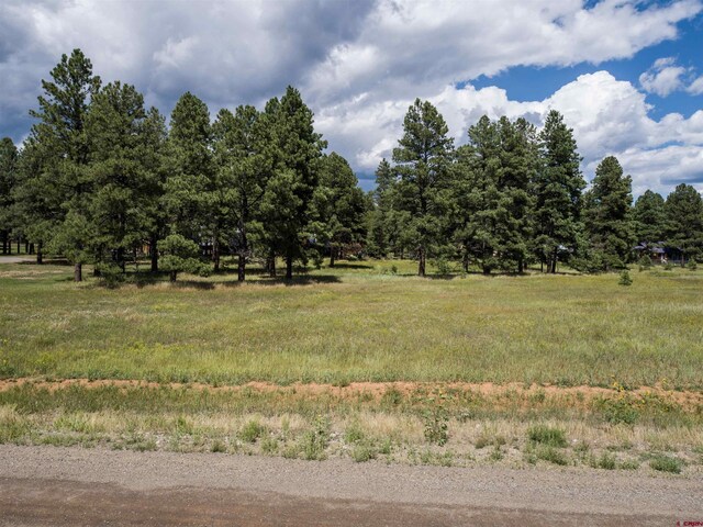 Listing photo 2 for 1520 Antelope Ave, Pagosa Springs CO 81147