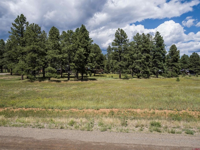 Listing photo 2 for 1520 Antelope Ave, Pagosa Springs CO 81147