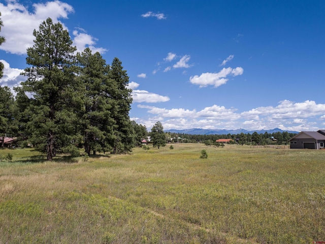 Listing photo 3 for 1520 Antelope Ave, Pagosa Springs CO 81147