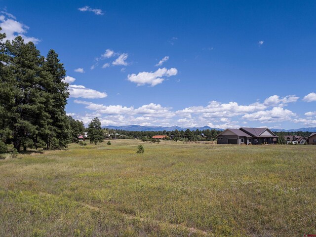 1520 Antelope Ave, Pagosa Springs, CO 81147