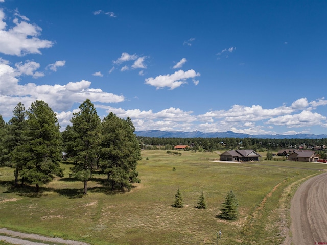 1520 Antelope Ave, Pagosa Springs, CO 81147