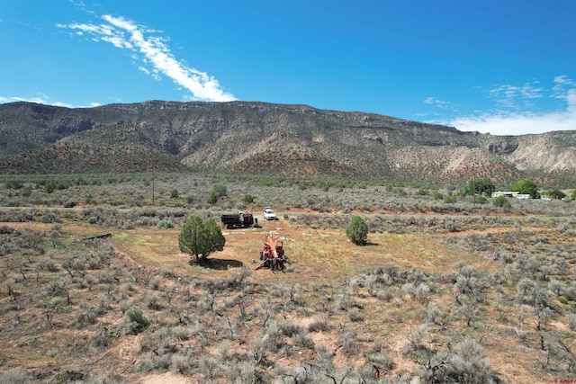 Listing photo 3 for Unassigned Highway 90, Bedrock CO 81411