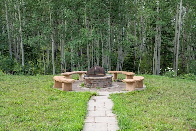 view of yard featuring an outdoor fire pit