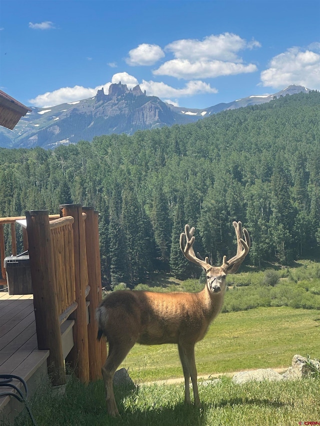 property view of mountains