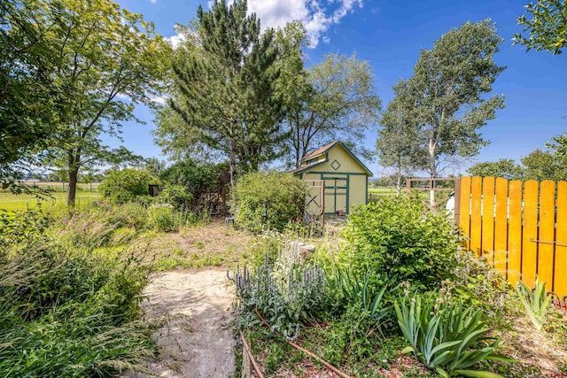 view of yard featuring a storage shed