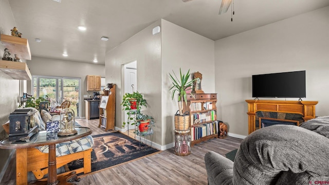 living room with ceiling fan and light wood-type flooring