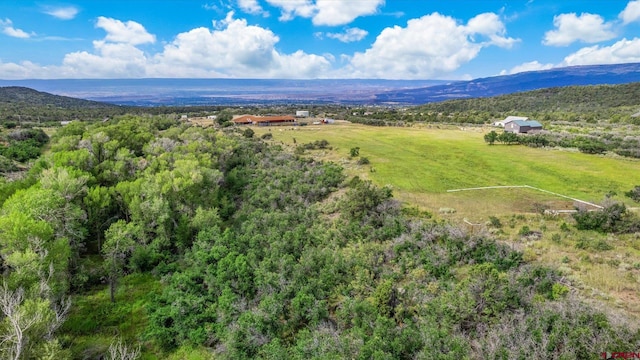 birds eye view of property with a mountain view