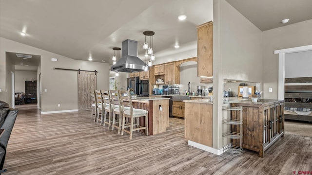 kitchen featuring light hardwood / wood-style floors, a barn door, island exhaust hood, and decorative light fixtures