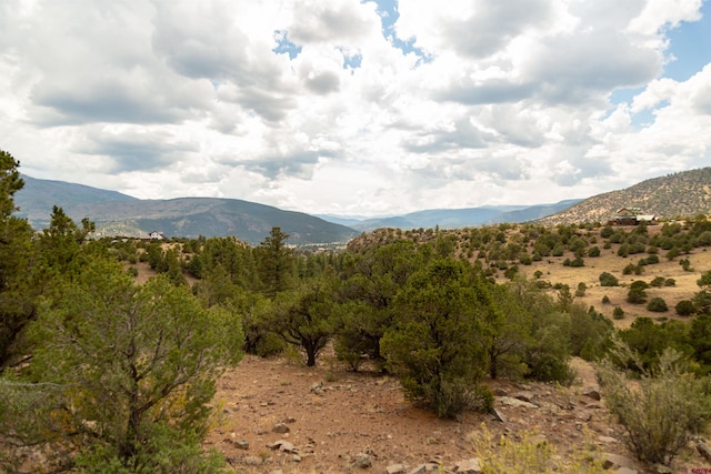 3869 Bear Creek Cir, South Fork CO, 81154 land for sale