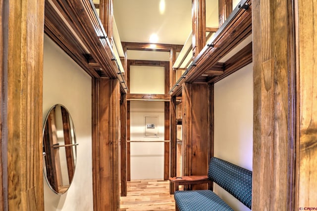 walk in closet with light wood-style floors