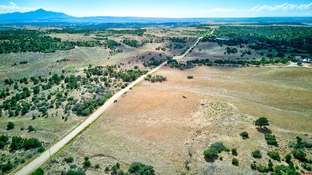 Listing photo 3 for TBD Road W, Dolores CO 81323