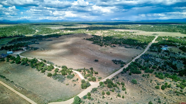 TBD Road W, Dolores, CO 81323