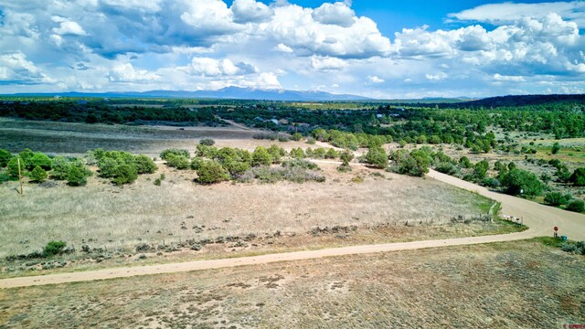 TBD Road W, Dolores, CO 81323