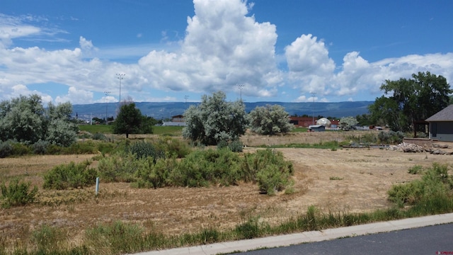 730 SE Pinyon St, Cedaredge CO, 81413 land for sale