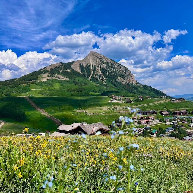 20 Buttercup Ln, Mount Crested Butte CO, 81225 land for sale