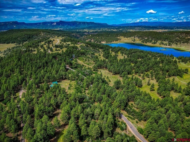 drone / aerial view featuring a water and mountain view