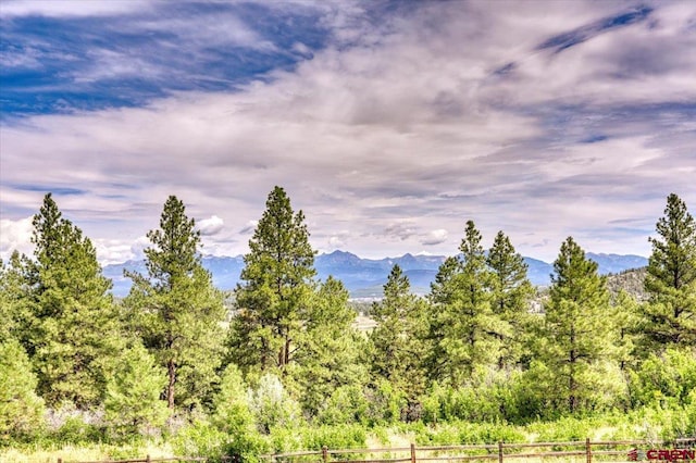 view of local wilderness featuring a mountain view