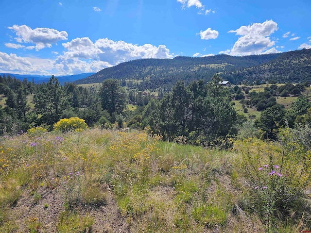 3527 Bear Creek Cir, South Fork CO, 81154 land for sale