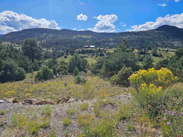 Listing photo 3 for 3527 Bear Creek Cir, South Fork CO 81154