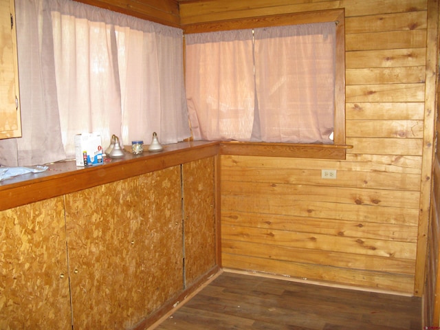 interior space featuring wooden walls and wood finished floors