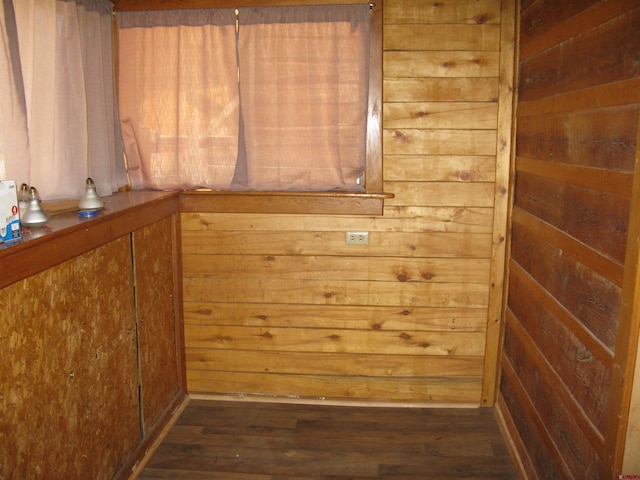 interior space featuring dark wood-type flooring and wooden walls