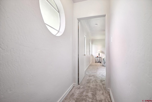 hallway featuring light carpet and baseboards