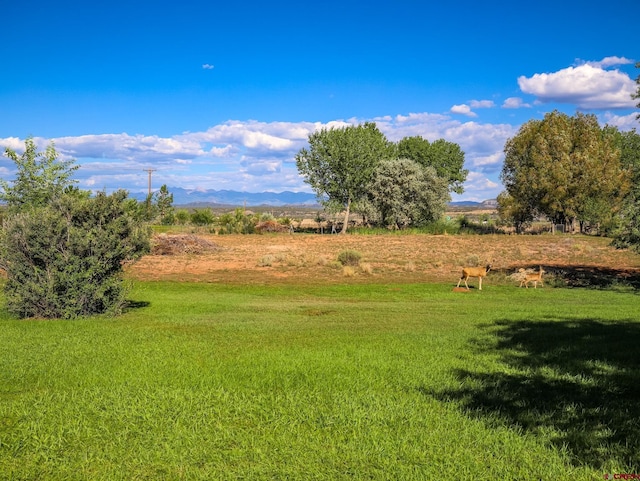 view of yard featuring a rural view