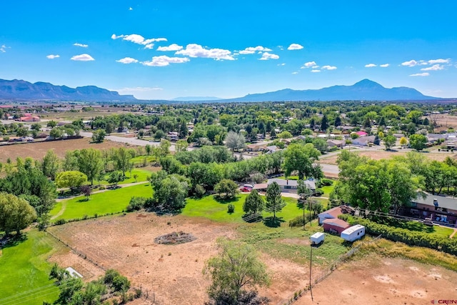 drone / aerial view featuring a mountain view