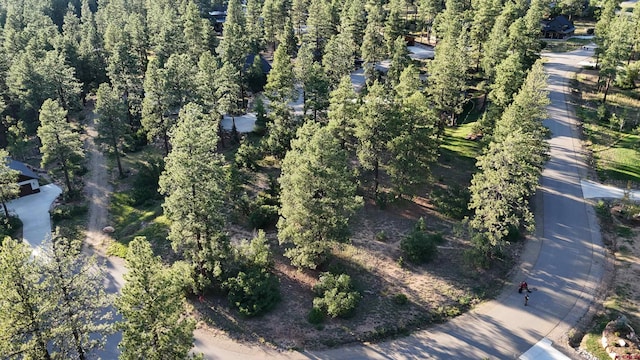 91 Engine Creek Ct, Durango CO, 81301 land for sale