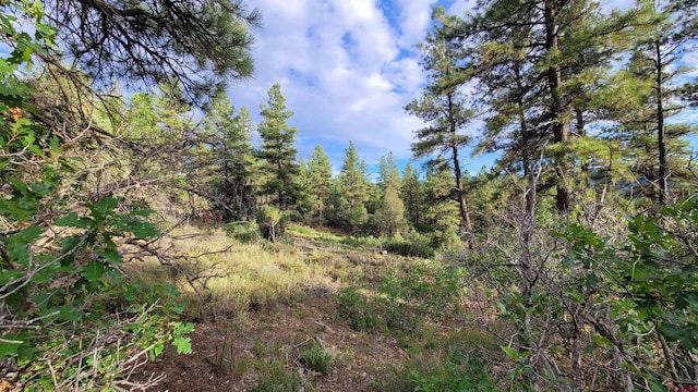 814 Ginger Cir, Pagosa Springs CO, 81147 land for sale