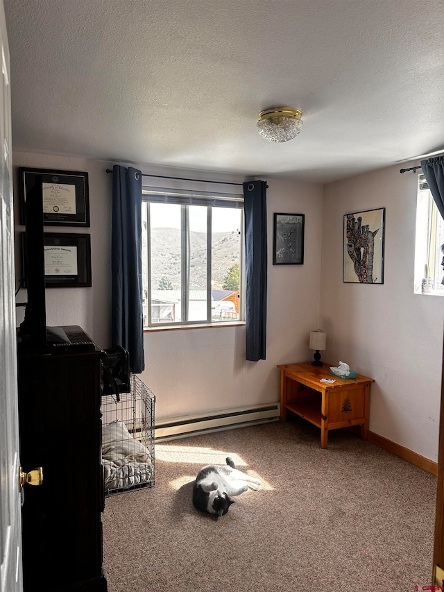 sitting room with a baseboard heating unit, carpet, and a textured ceiling